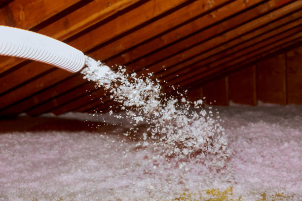 Professional Insulation Contractor in Cheyenne, WY