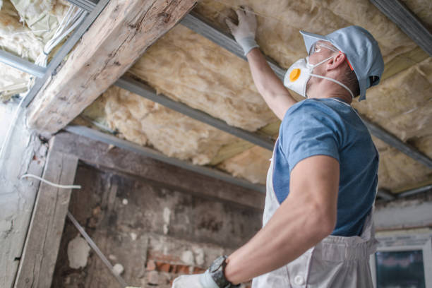 Best Cellulose Insulation in Cheyenne, WY