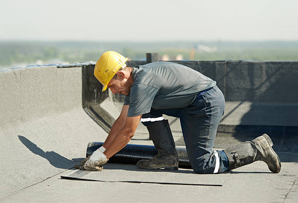 Best Specialized Insulation Services in Cheyenne, WY